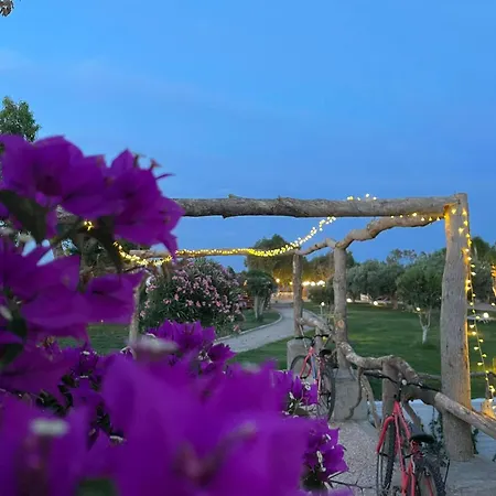 Villa Eco Beachfront Gennadi