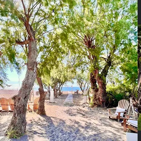 Eco Beachfront Villa