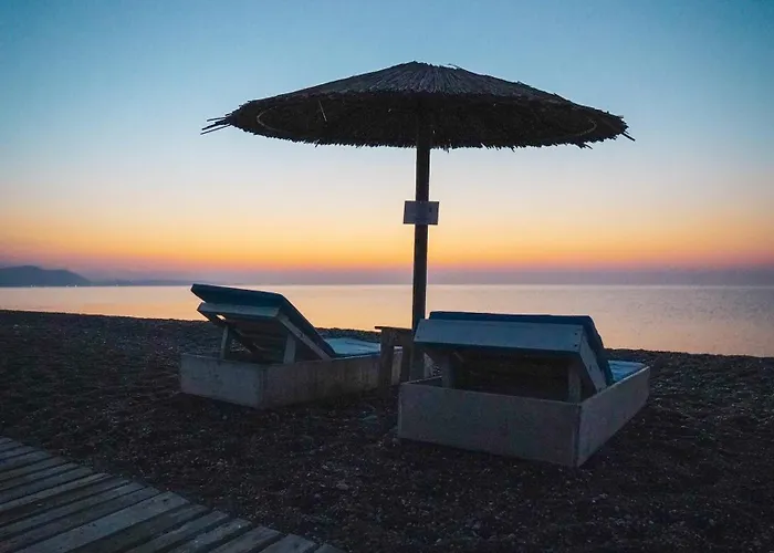 Eco Beachfront Villa