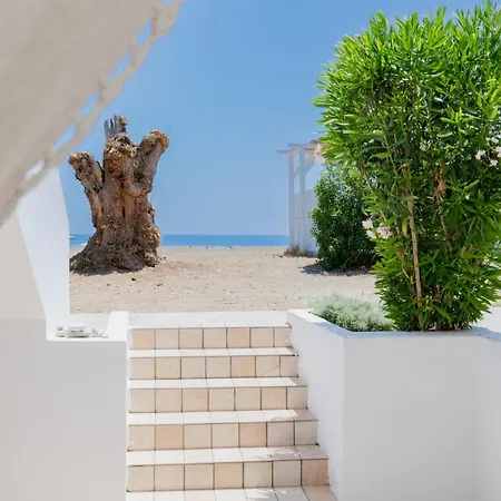 Eco Beachfront *